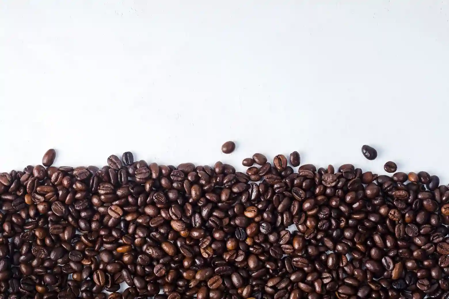 Café em Grãos-imagem destacada